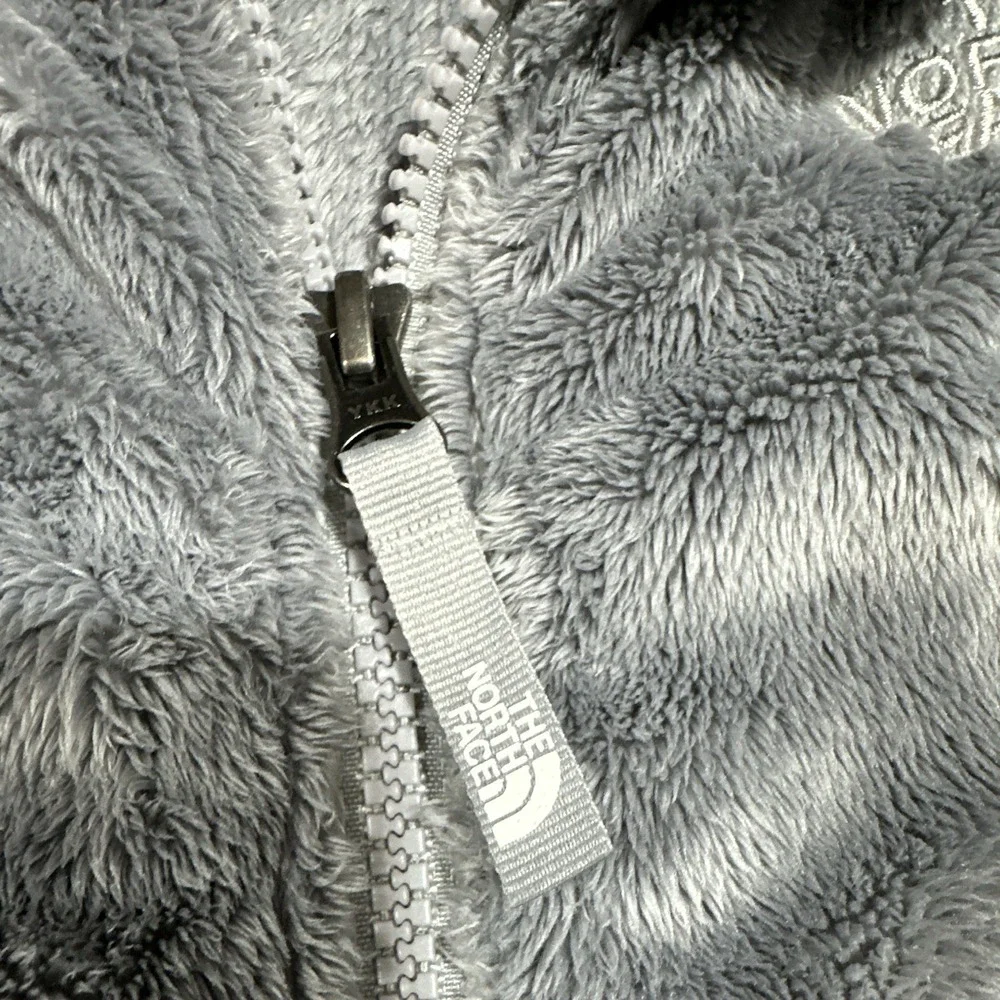 The North Face north face